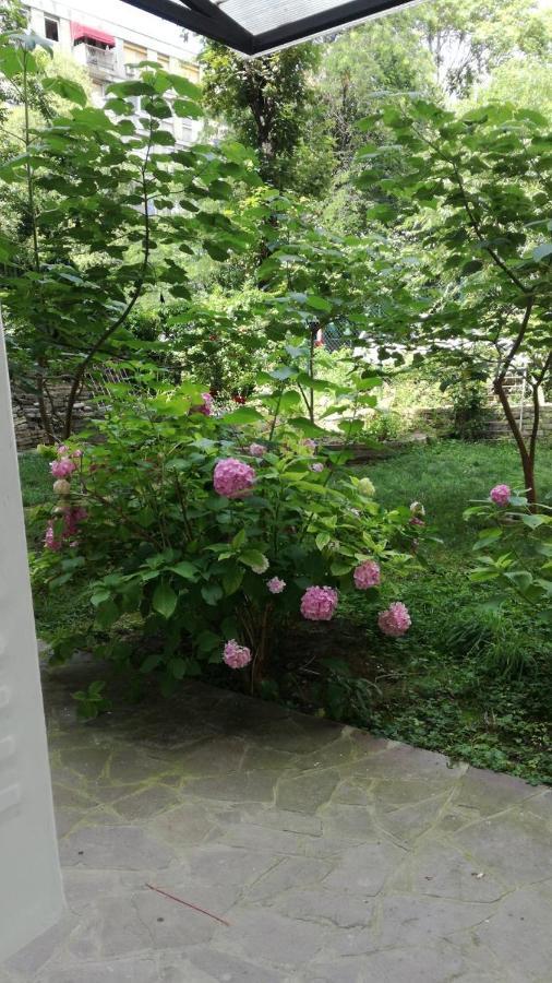 Apartment Vracar Krunska Jamiva